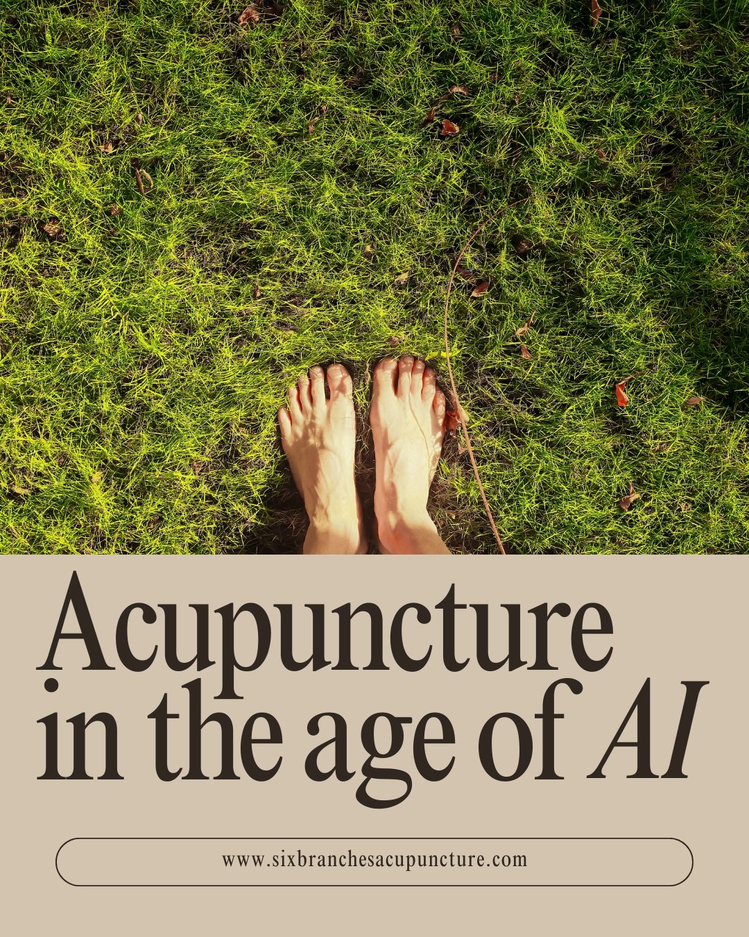 In a time of rapid technological advances and AI breakthroughs, acupuncture keeps us grounded.

Rooted in centuries of observation and connection to the rhythms of the body and nature, East Asian medicine reminds us that healing isn&rsquo;t always hi