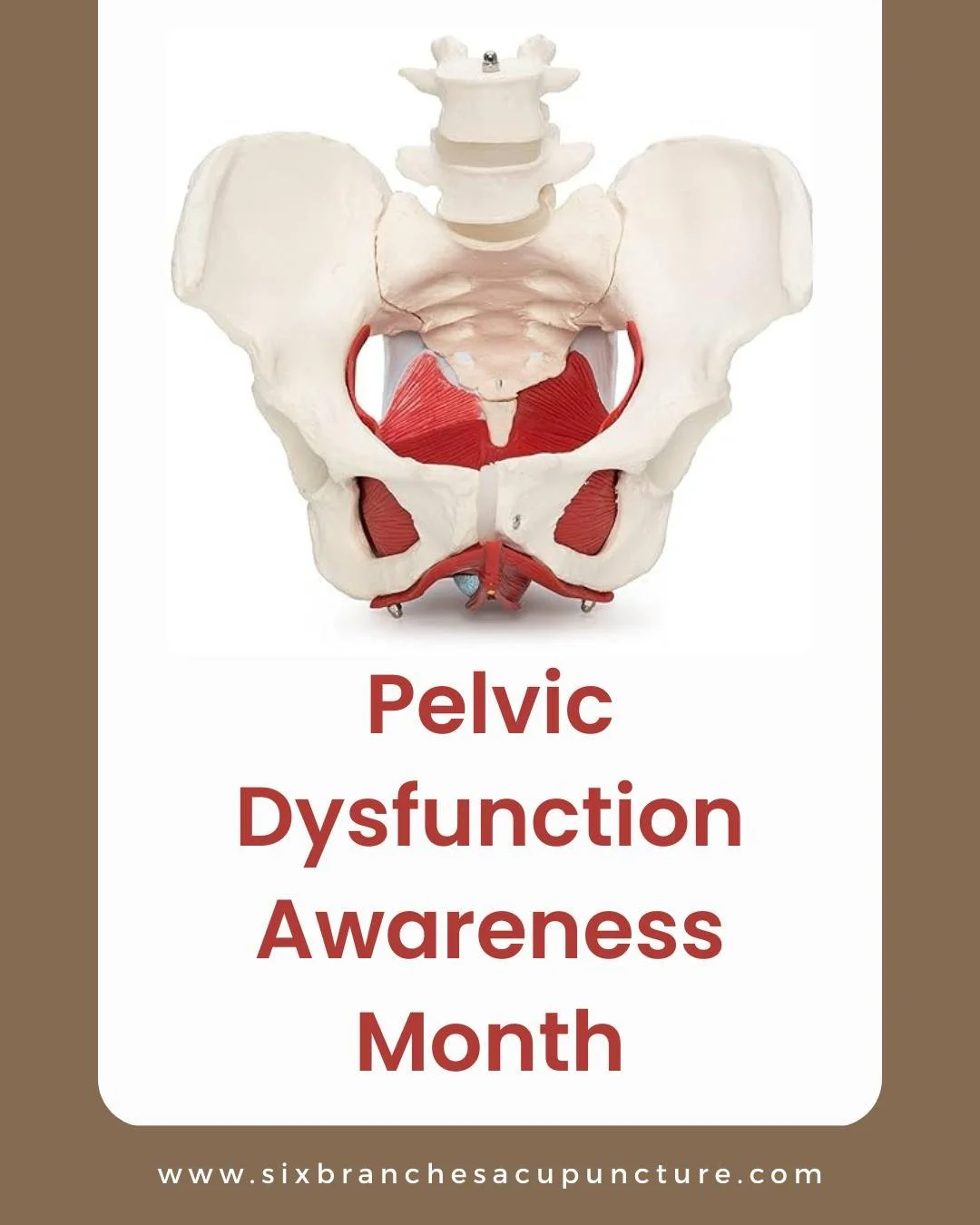 August is Pelvic Floor Dysfunction (PFD) Awareness Month. It's a time to educate the public about pelvic floor dysfunction, a condition that affects millions and can lead to issues like:
📍urinary or fecal incontinence
📍pelvic pain
📍pain with inter