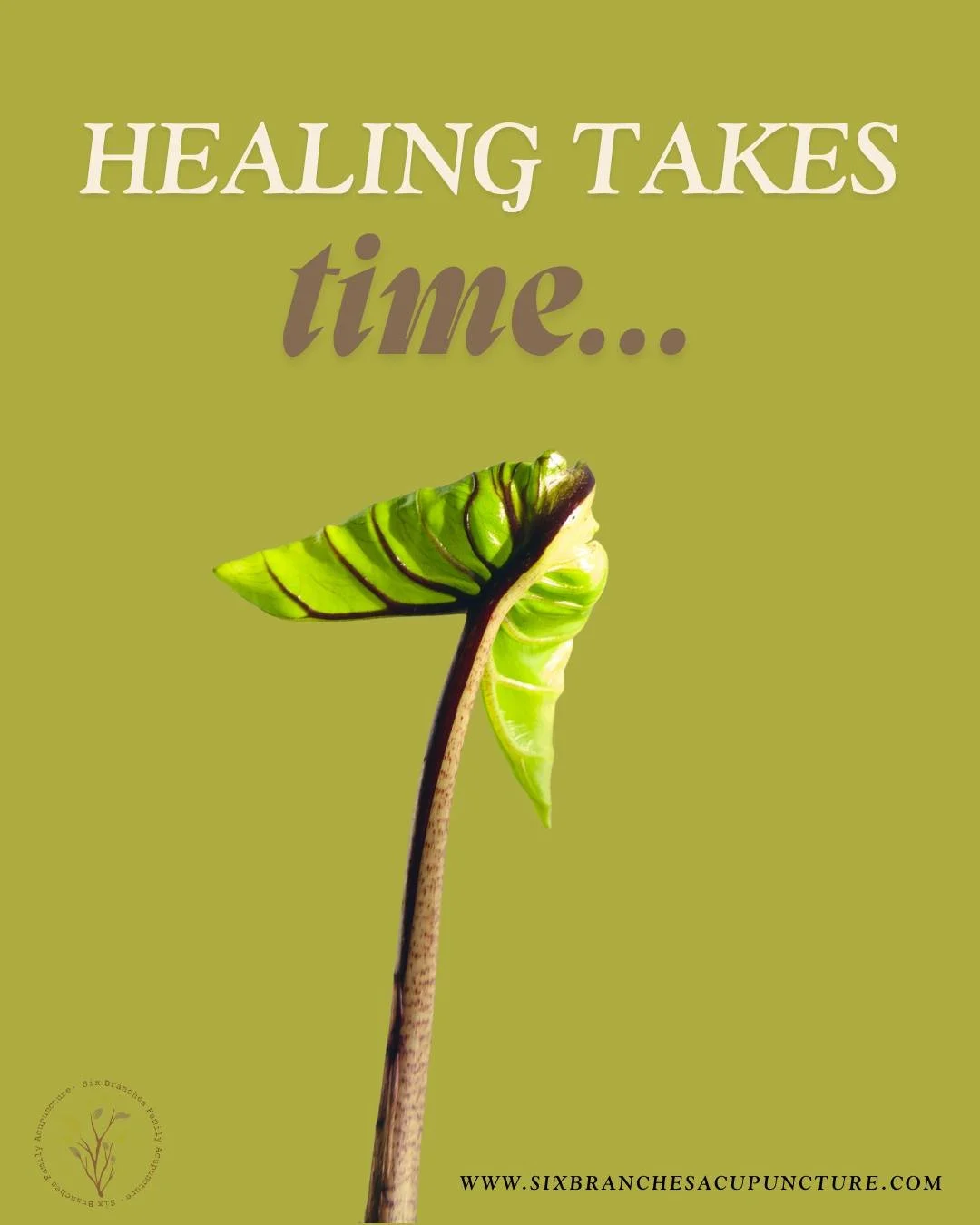 Healing takes time.  Your body didn&rsquo;t develop chronic tension patterns overnight&mdash;and they won&rsquo;t unwind overnight either.

Acupuncture helps reduce pain, but that&rsquo;s just the beginning. When you're in less pain, you can start to