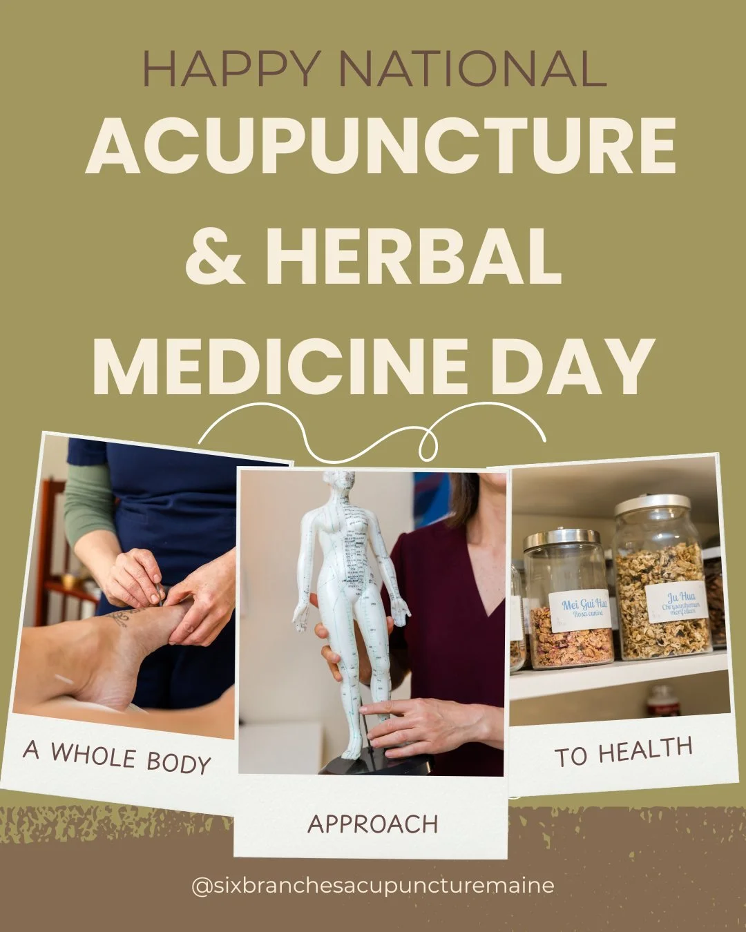 This National Acupuncture & Herbal Medicine Day, we celebrate our medicine and all that it has to offer. We honor our teachers and those who fought to make this medicine more accessible in the west.
Most importantly, we celebrate that acupunctur