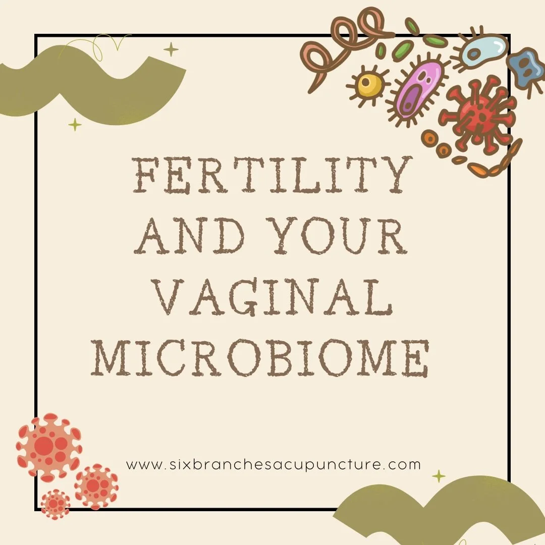 New Research on Fertility and the Microbiome