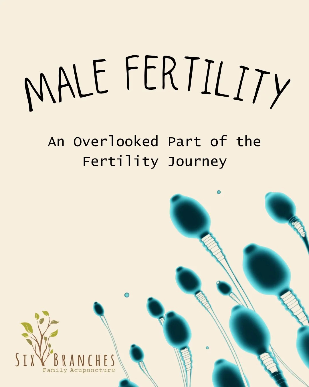 Male Fertility: An Overlooked Piece of the Fertility Conversation