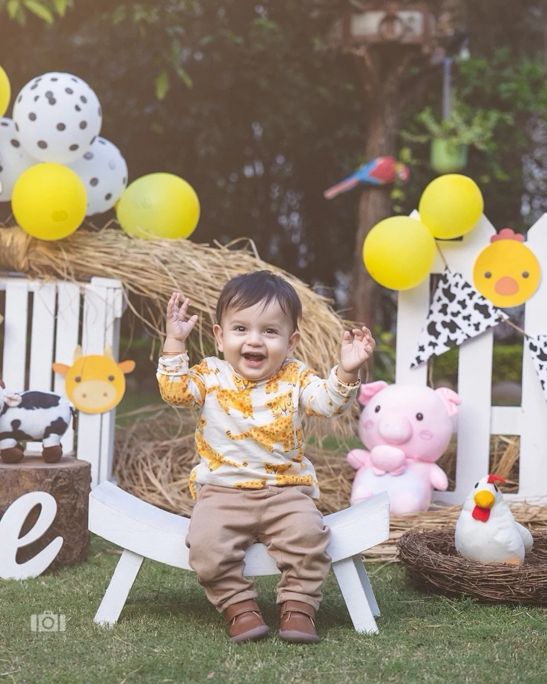 Turning ONE with a little farmyard magic 🐥✨

A joyful first birthday shoot filled with smiles, soft sunshine, and the sweetest milestone memories 💛

.
.
@wondersbythememorytrunk
📍The Memory Trunk Studio, Jammu

#FirstBirthdayShoot #FarmThemePhotos