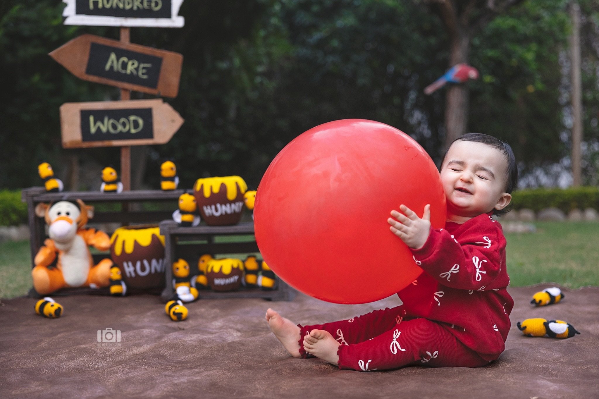 🎈😍

#TheMemoryTrunk #BabyPhotography #WinnieThePoohTheme #FirstBirthdayPhotoshoot #OutdoorBabyShoot 

[first birthday photography, Winnie the Pooh birthday theme, baby photographer Jammu, outdoor baby shoot, one year baby shoot]