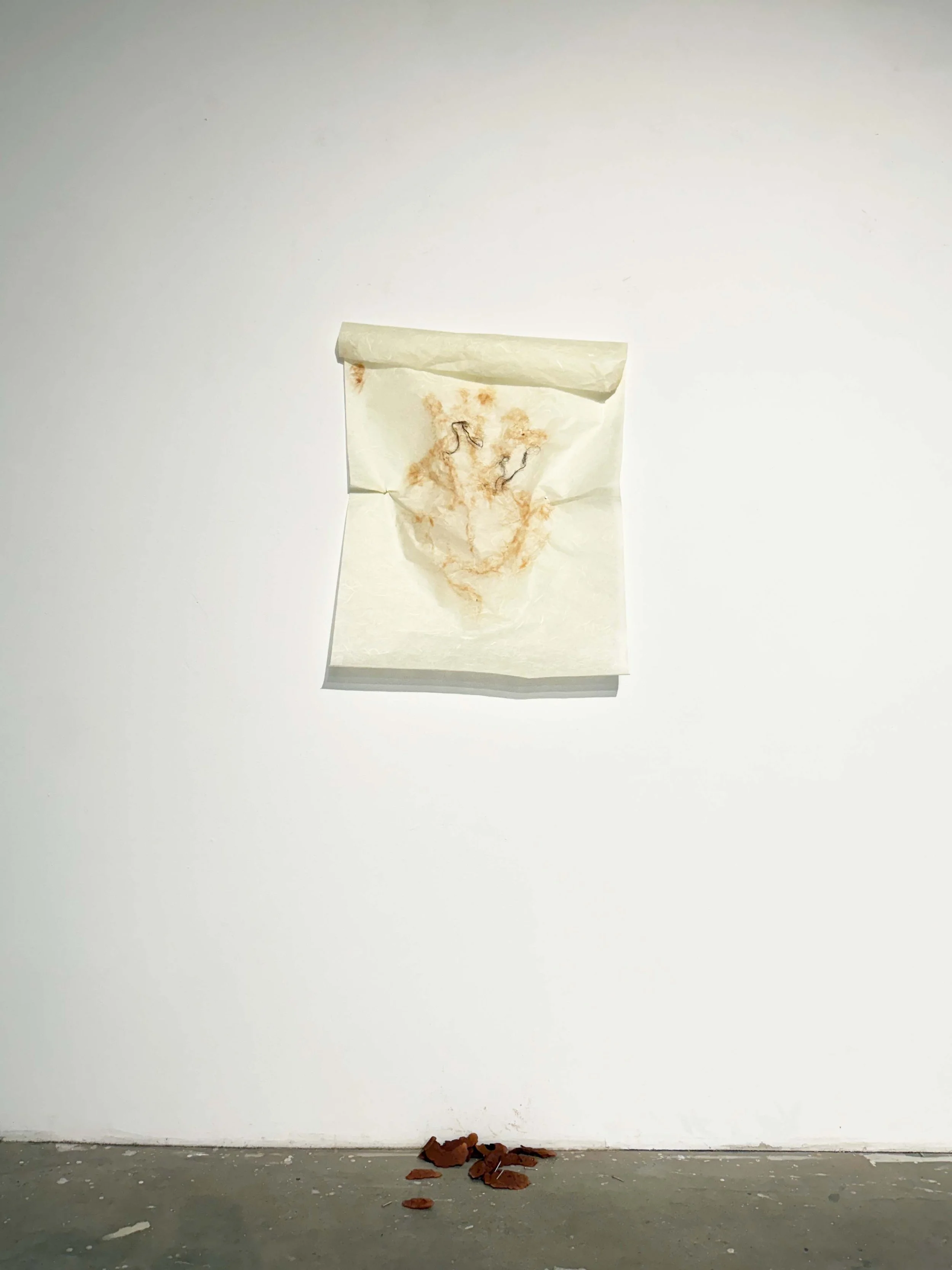 How to Meet Resistance in the Body Series, 2026, Rice paper, clay, human hair, and nails.