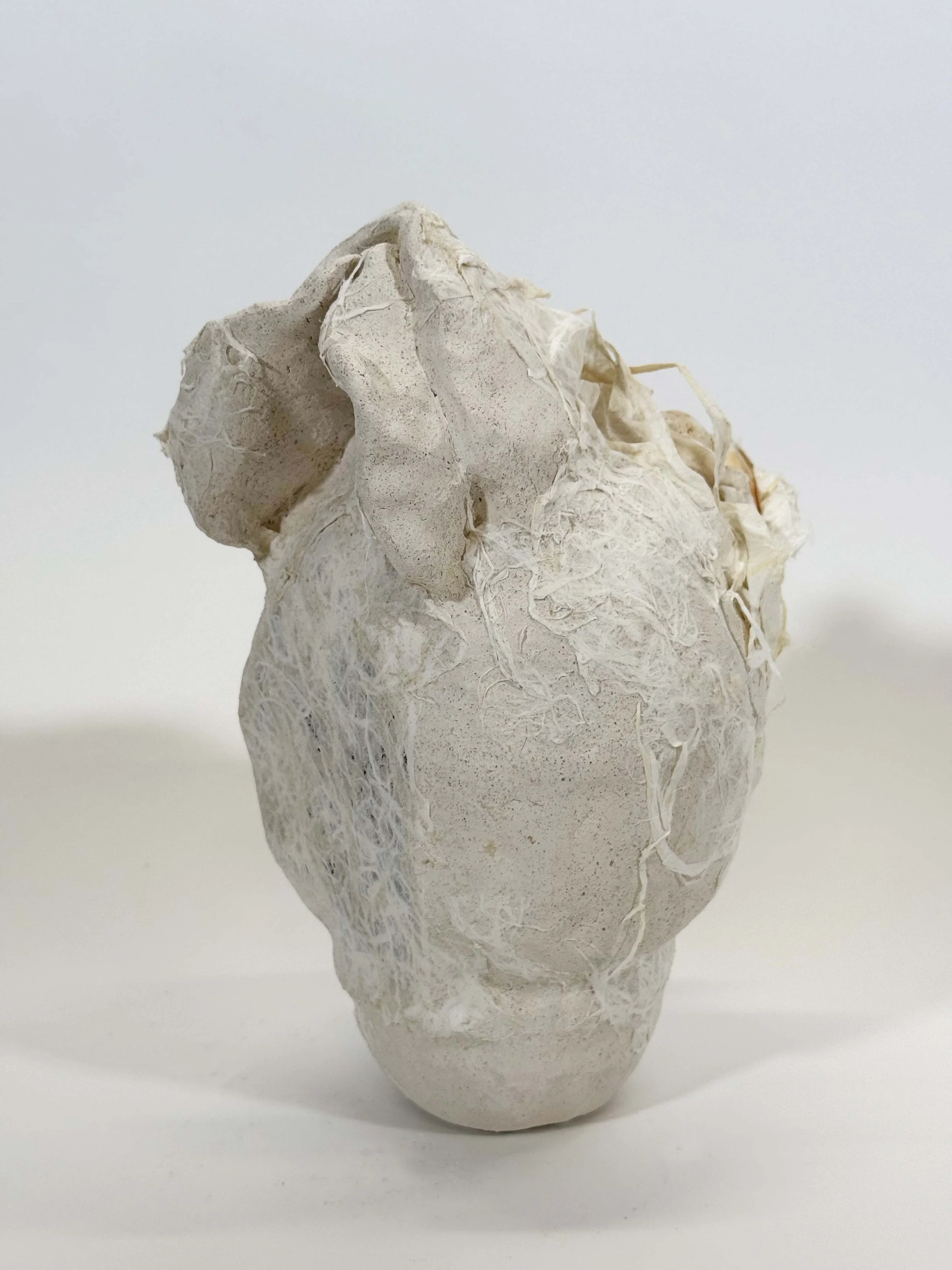 Side White Vulva.jpg