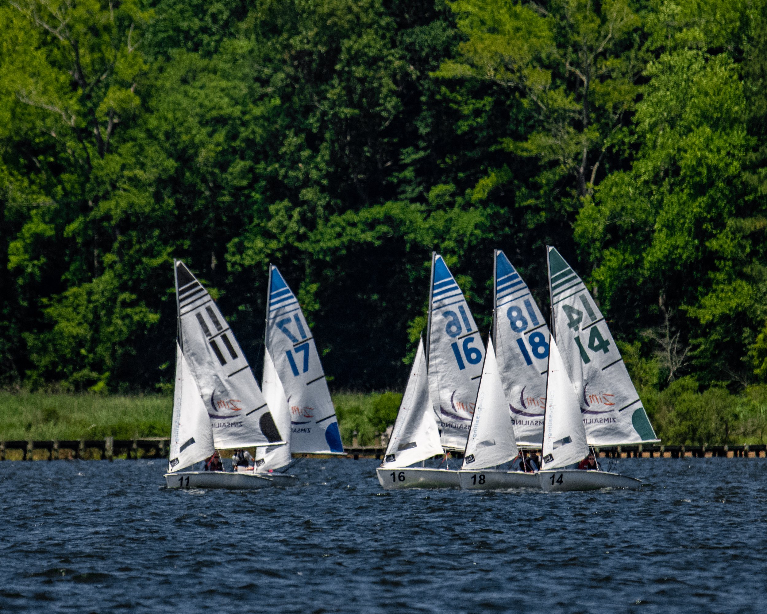 DSC_2046.jpg