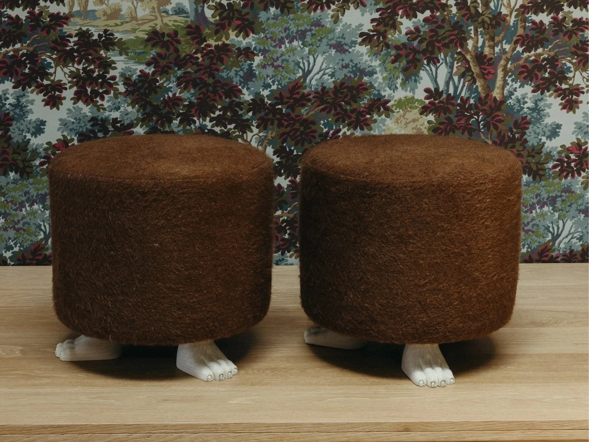 Lupa Ottoman, cuddles