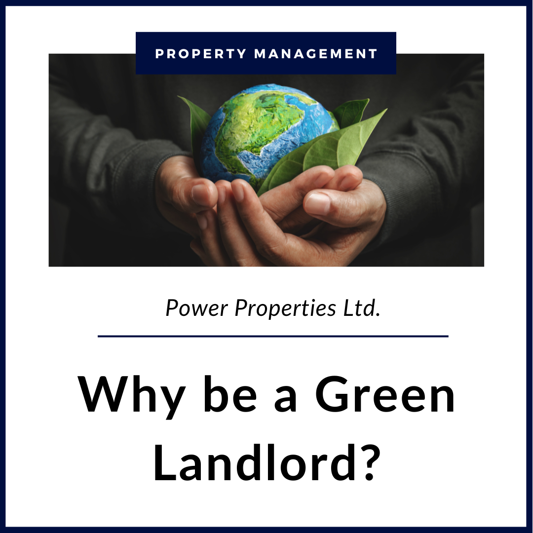 Surviving the First Years of Rental Property Ownership | Power ...