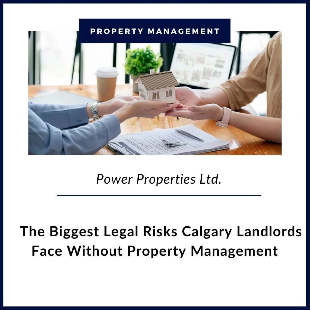 The Biggest Legal Risks Calgary Landlords Face Without Property Management