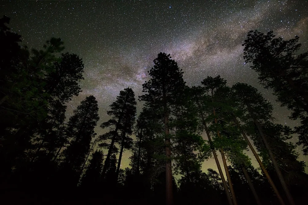 Payson