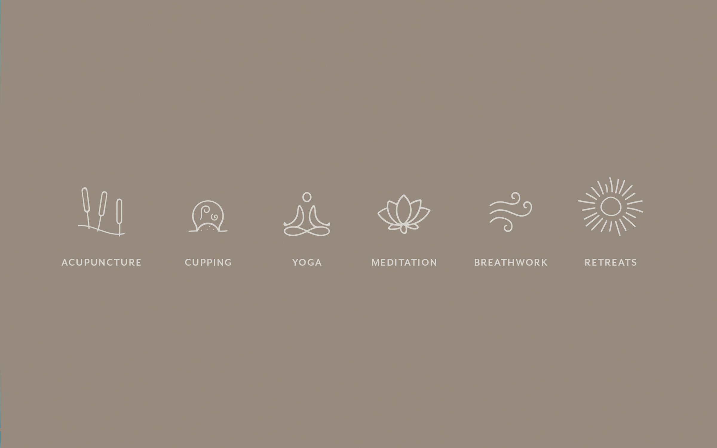 Aleigh_Natural_Health_Icons.jpg