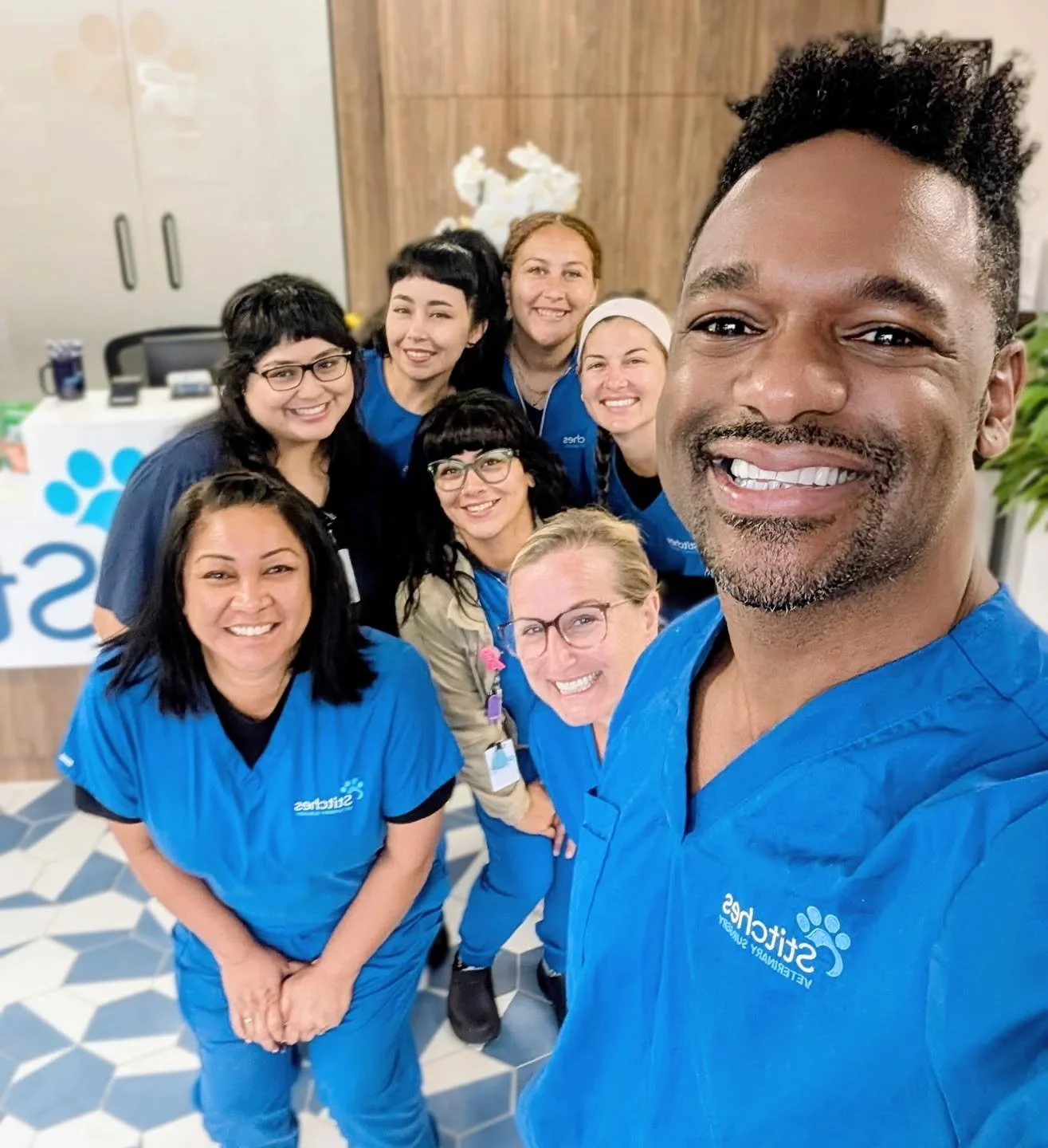 THE BEST IS YET TO COME. Celebrating 8 amazing months since our grand opening at Stitches Veterinary Surgery! The journey has been one of challenges, growth, and triumphs. We’ve faced complex cases, long days, and moments that tested our r