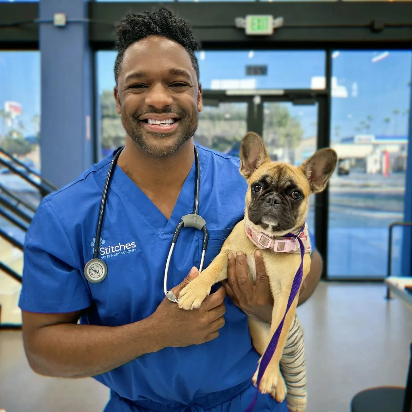 NATIONAL DOG DAY. Did you know tibial crest fractures are the most common type of avulsion fracture in dogs, making up about 54% of such injuries? 
Today on National Dog Day 2025, we celebrate not just our amazing dogs like Blu Jean, this preci