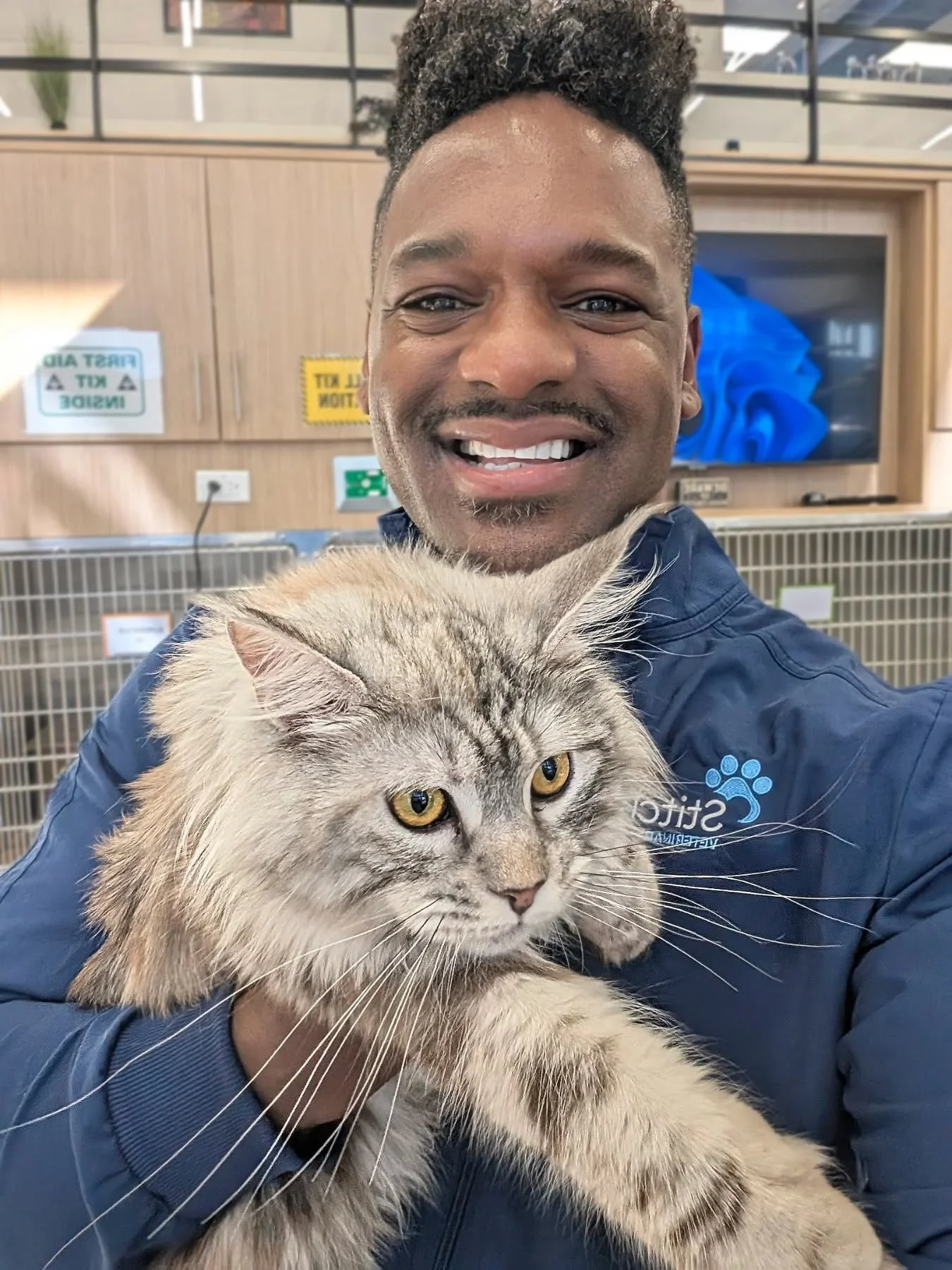 FUR REAL. I&rsquo;m continually amazed and fascinated by these gentle giants&mdash;the Maine Coons. On this National Cat Day, let&rsquo;s celebrate by chatting about 5 common surgical conditions affecting this beautiful breed.&nbsp;

1️⃣ Hip Dysplasi