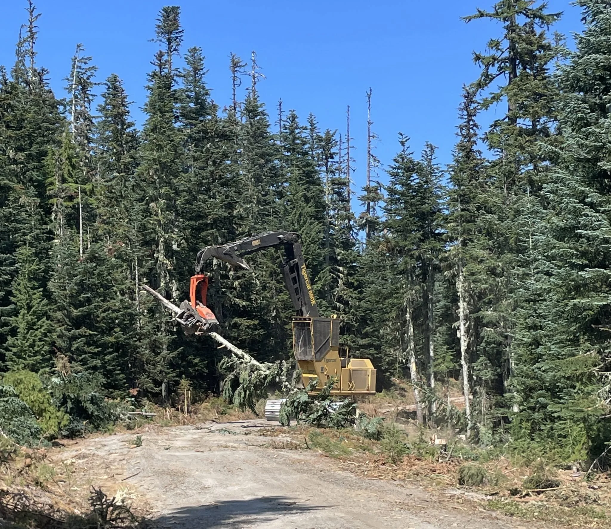 Rain Gives Grasshopper Fire Crews an Assist, but Brings New Hazards