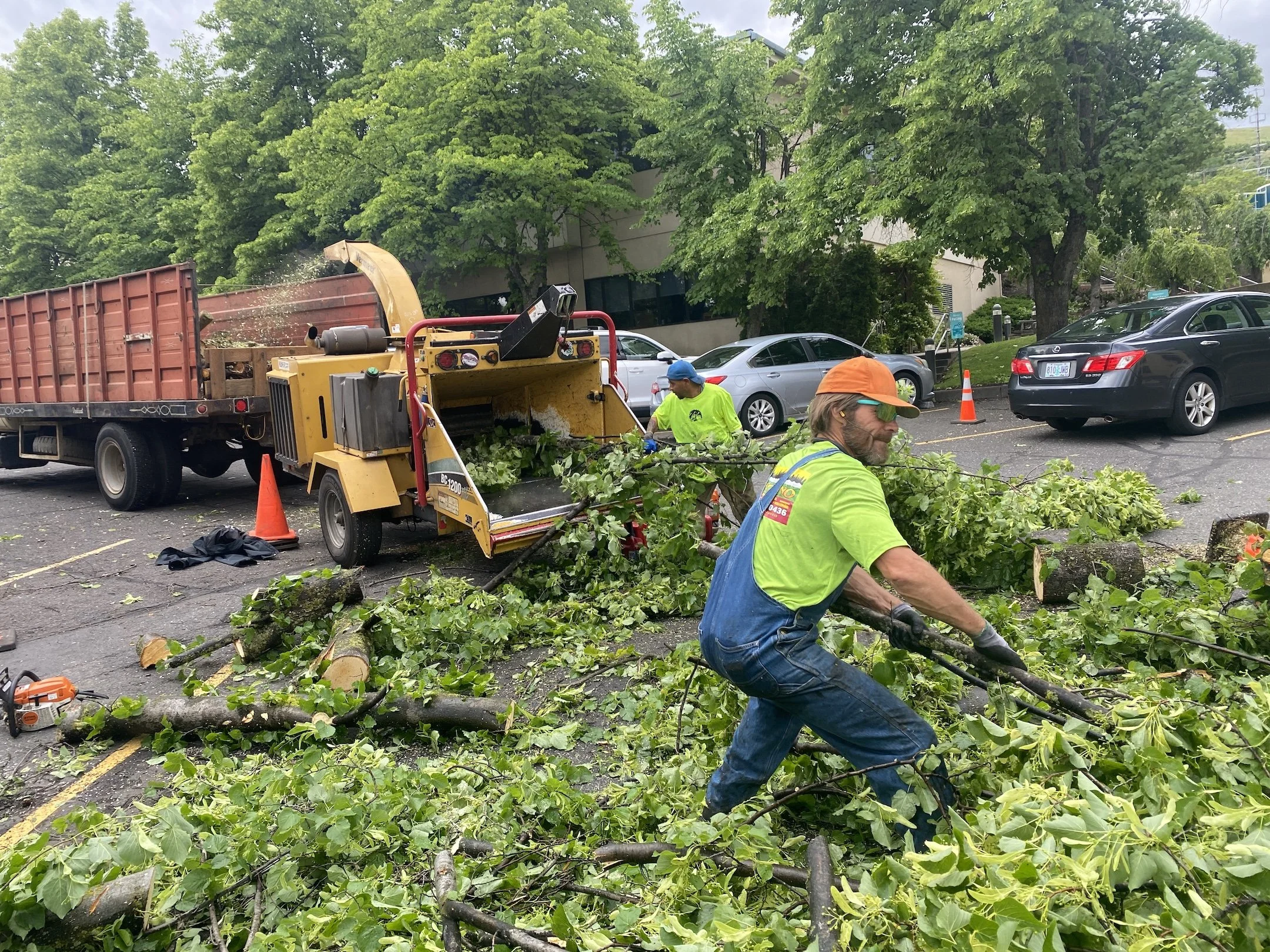 Overnight storm topples trees, damages property across The Dalles ...