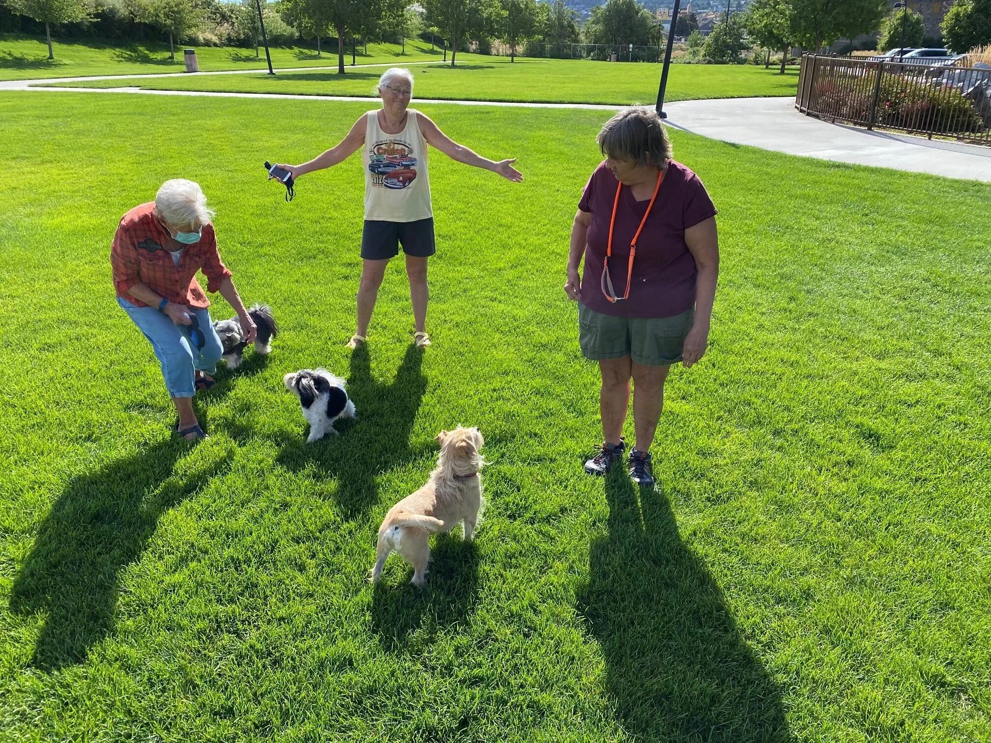 Gusty with a good chance of wag