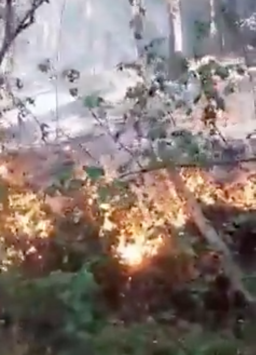 Eyewitness Account on the Ground at Mosier Creek Fire, Dinner With Family Goes From High Point to Pressure Point