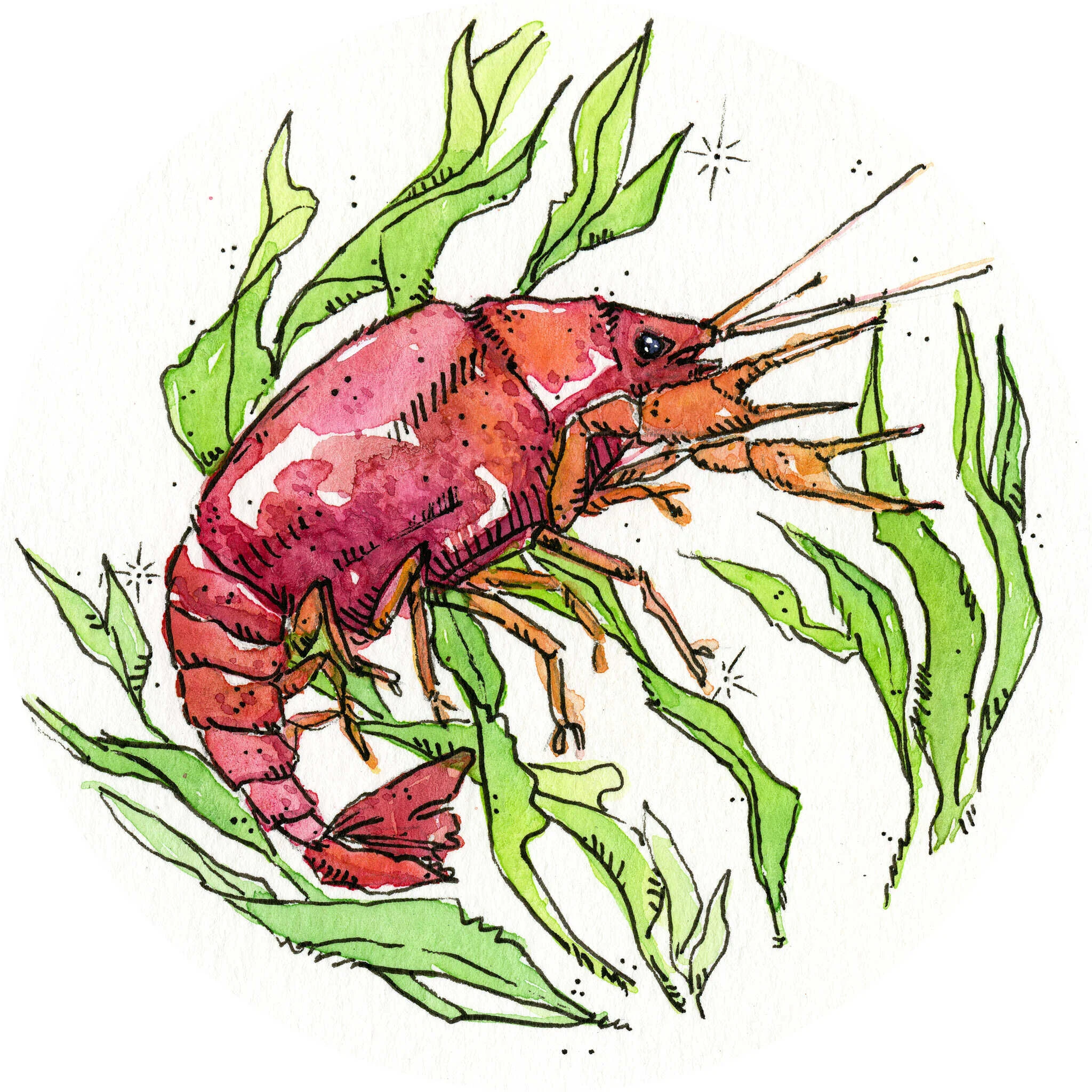 July 2020 Horoscopes: Creating Change through Compassion