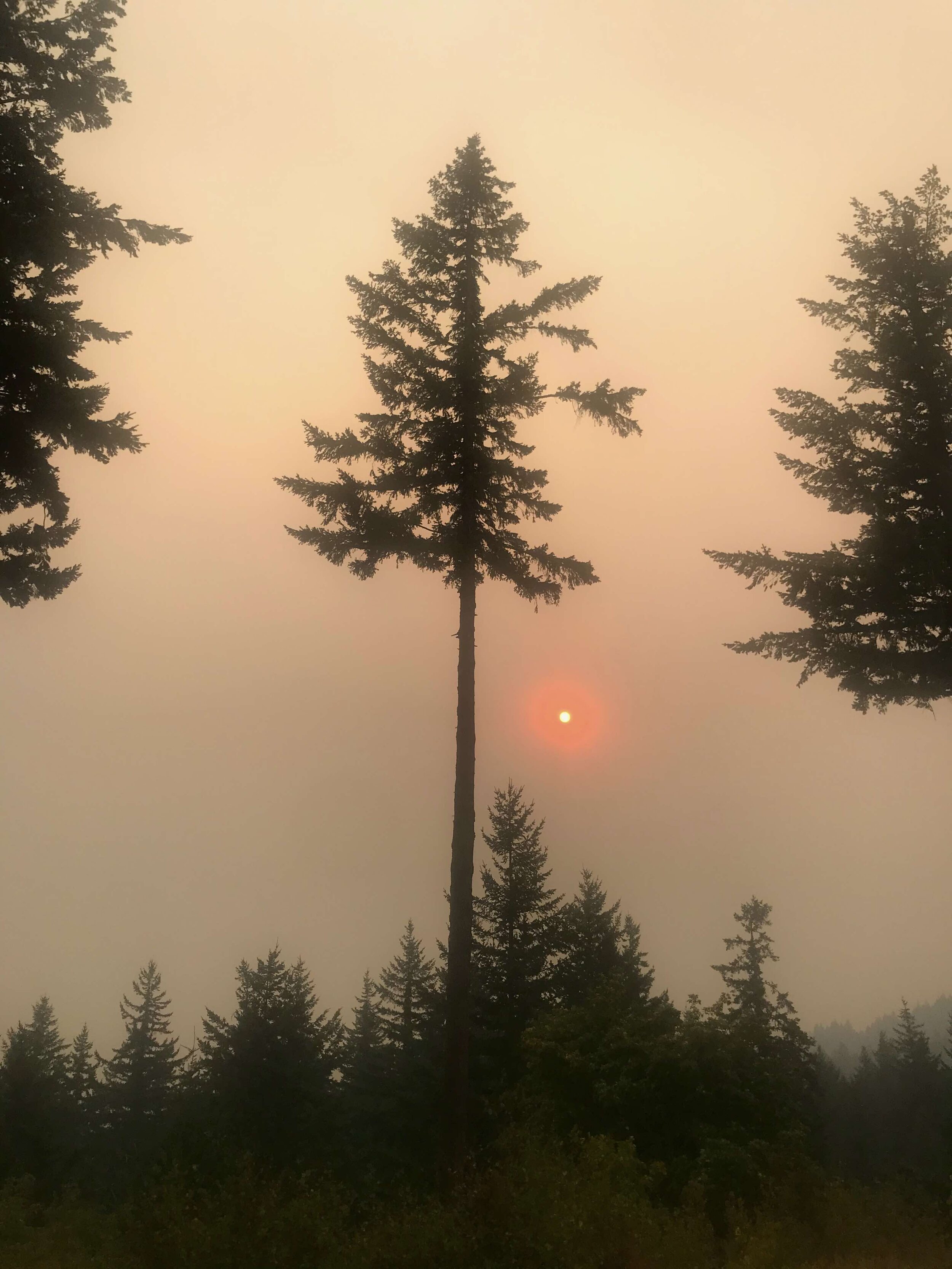 Smoke in the Gorge, Air Advisory and Red Flag Warning in Effect