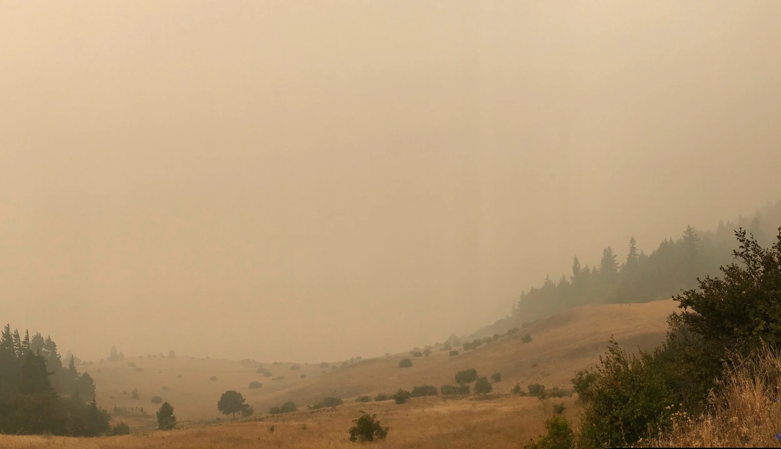 September 11th, 2020 Visibility in the Gorge .jpg