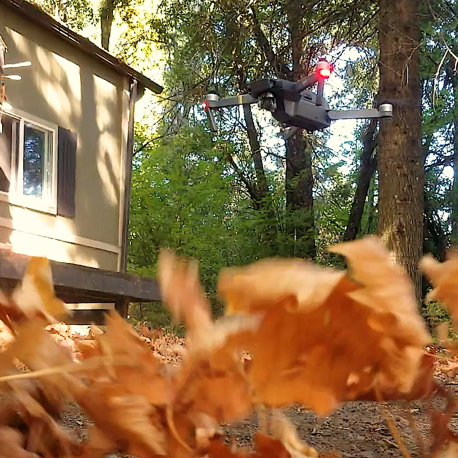 Get Your Leaves Drone. Happy First Day of Fall! 