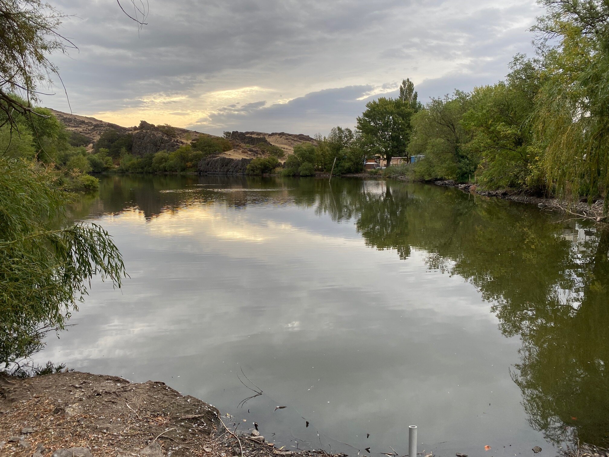 Serenity from Foley Lakes&nbsp;