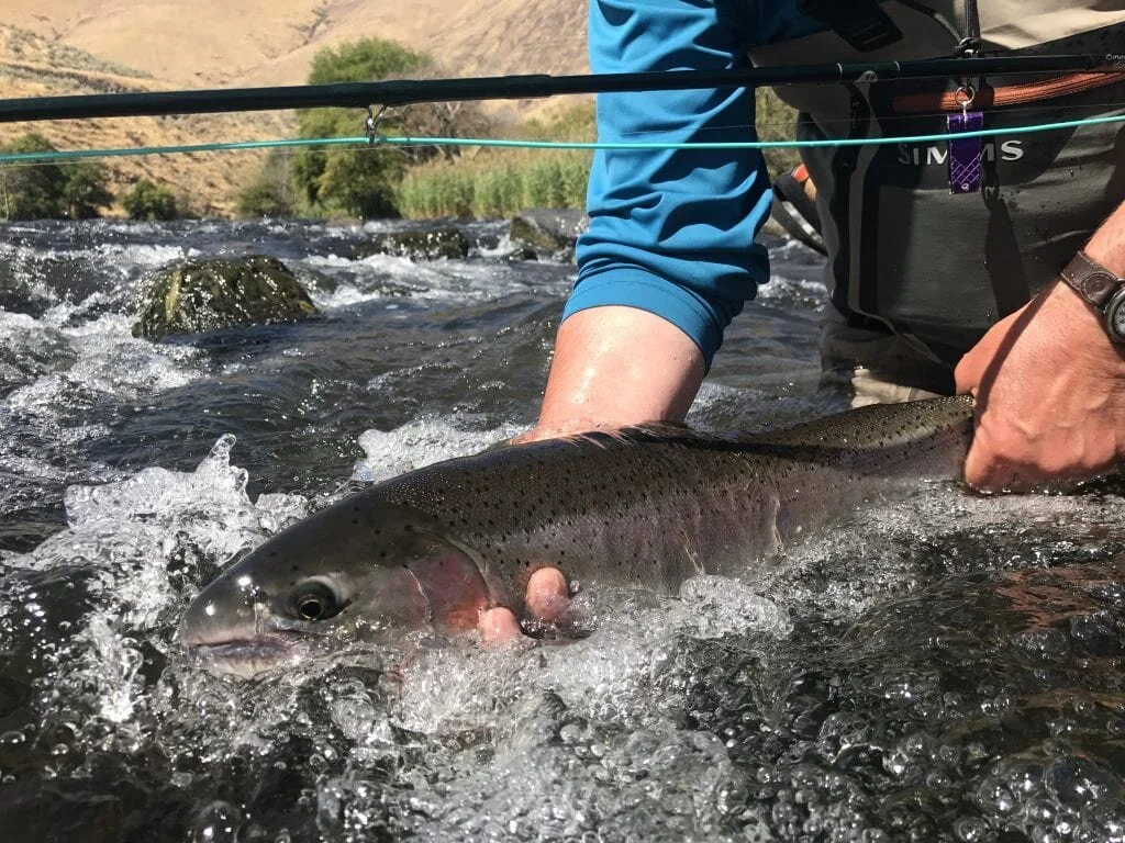 Best weekend fishing &amp; hunting tips