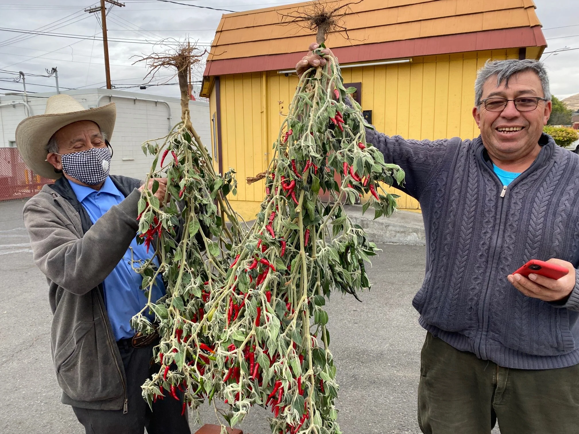 Last of the Hot Ones