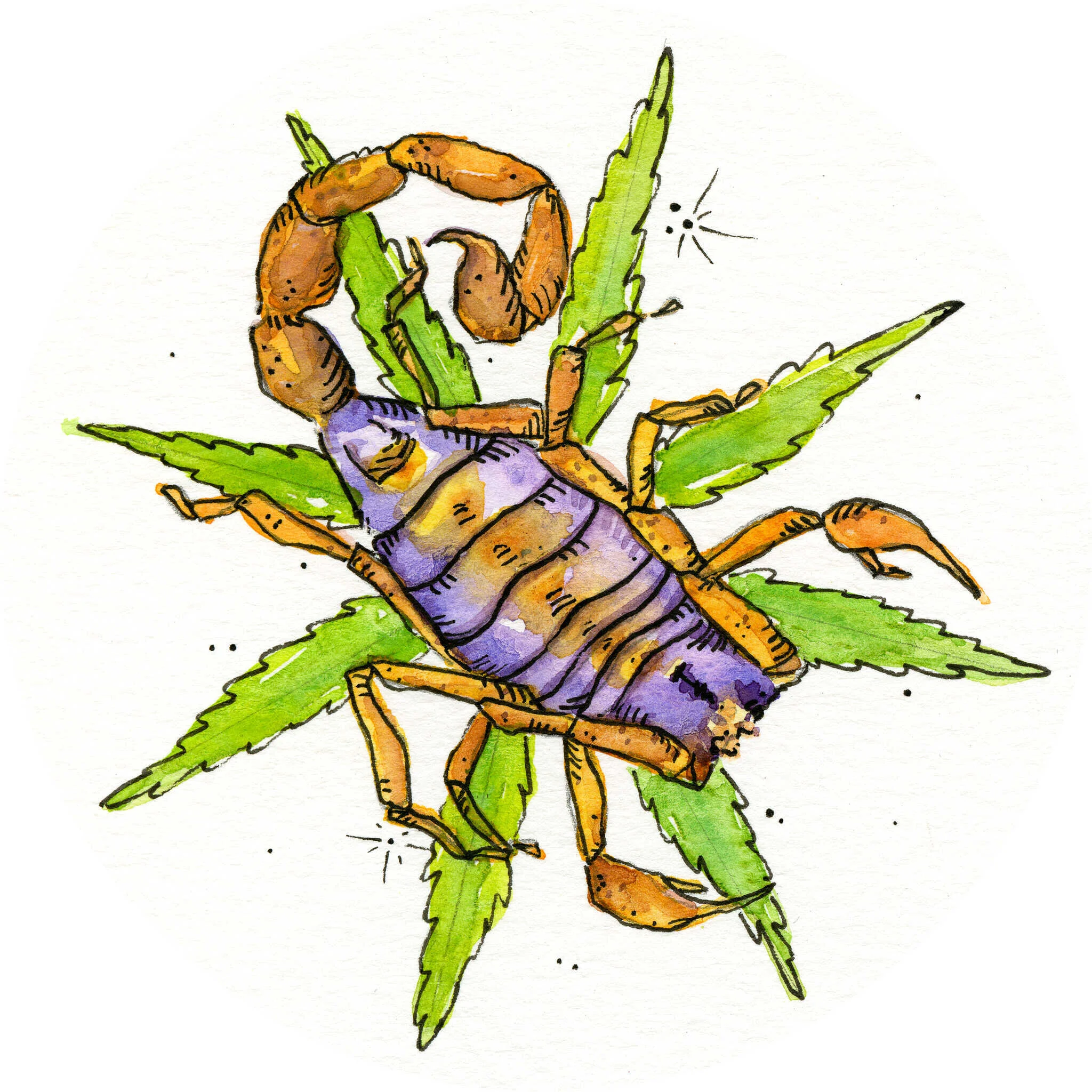 November 2020 Horoscopes: Scorpio Season Reminds Us to Look Inward