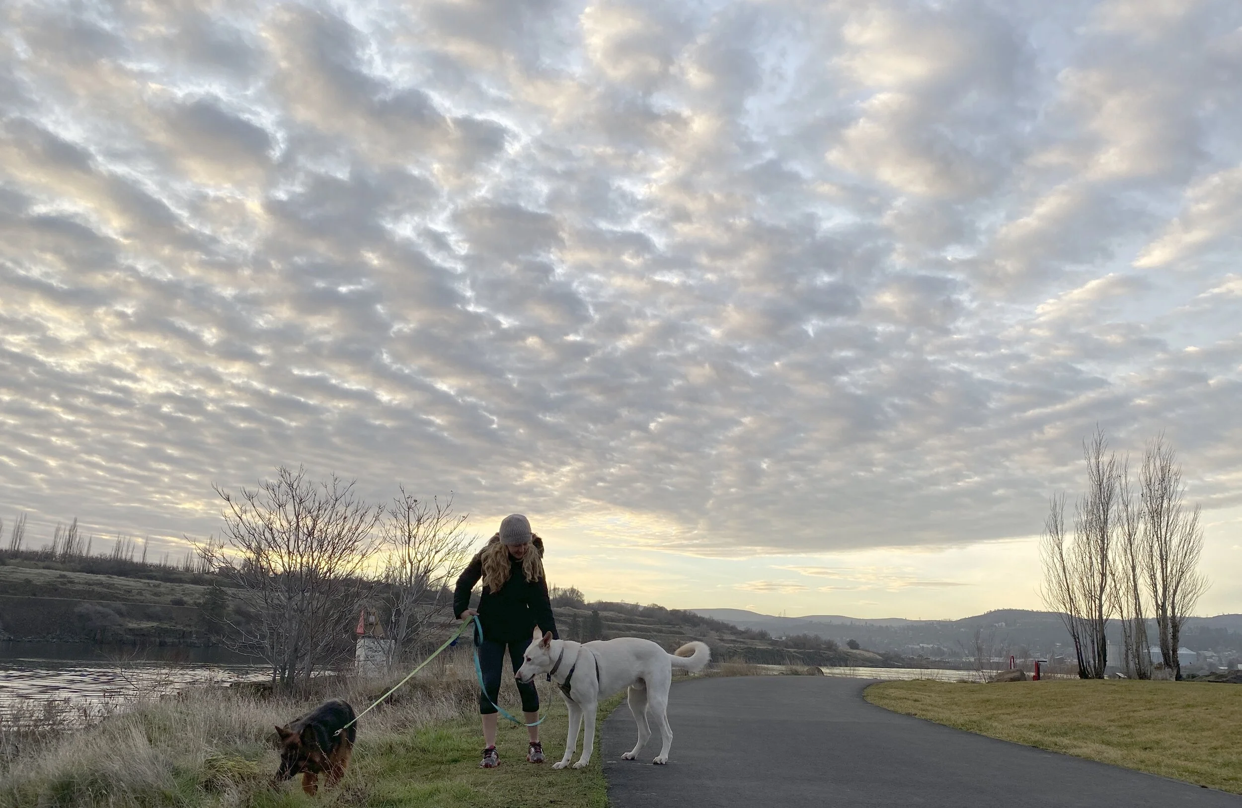 Two Dog Day Underway