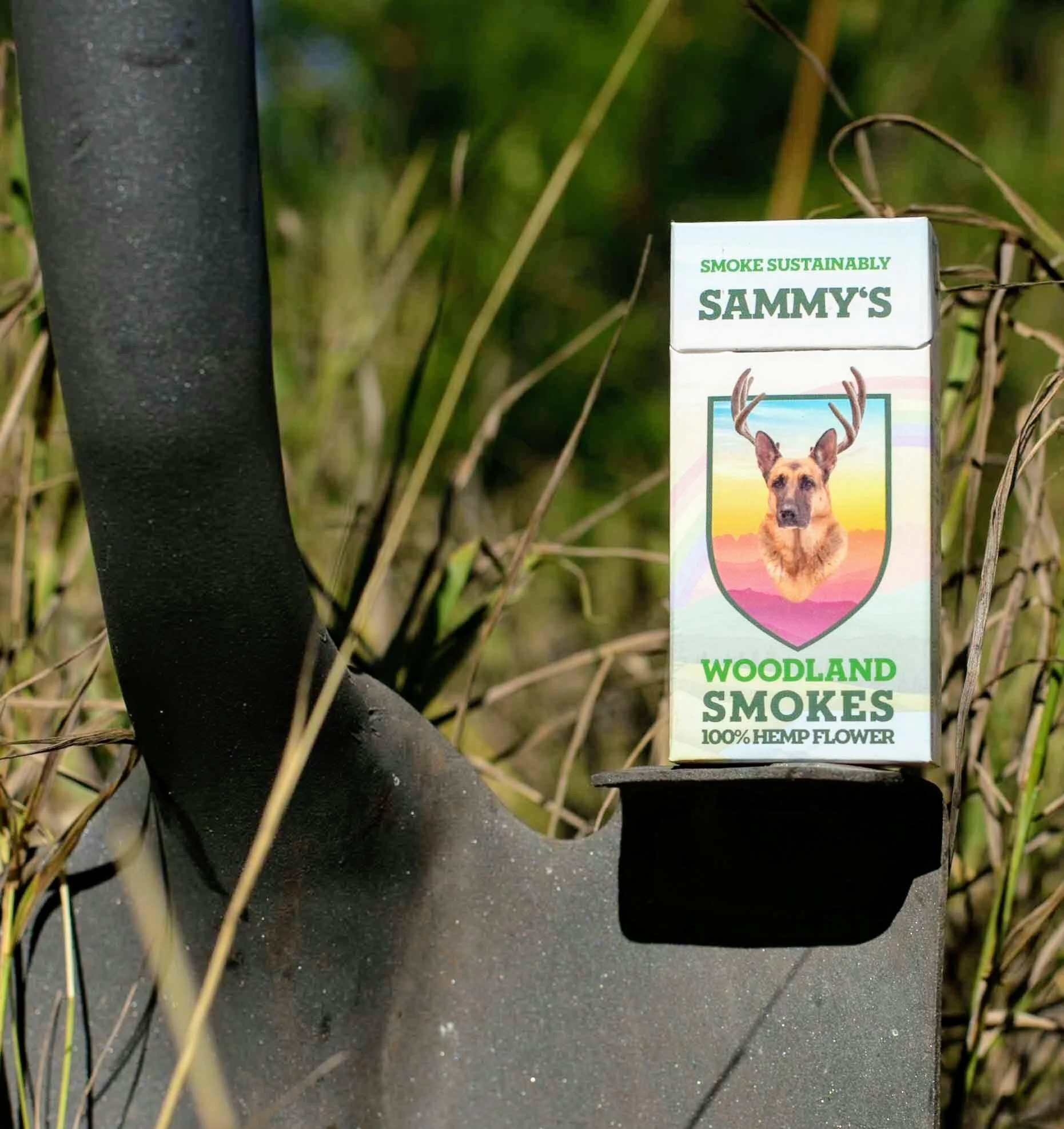 Local Hemp Company Plants 250 Trees for Forest Fire Recovery