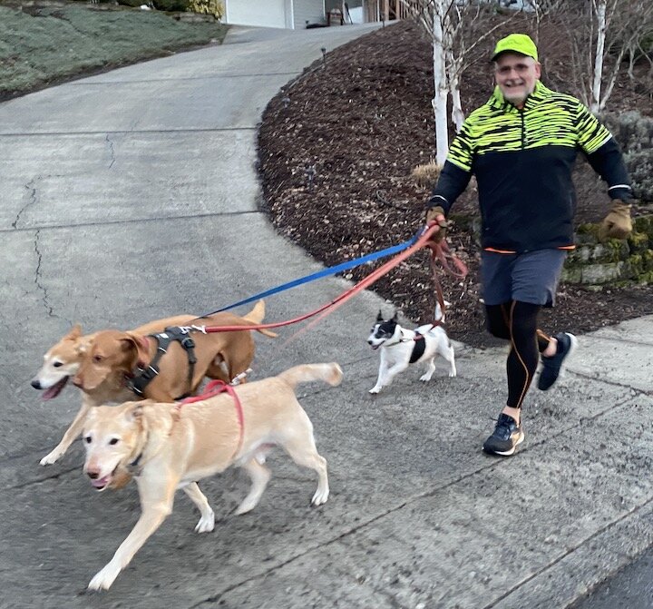 Four Dog Jog