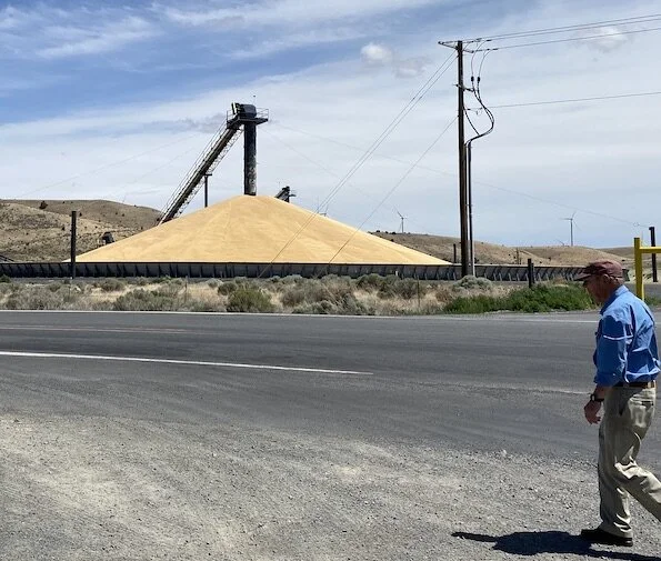 Soft white wheat prices hit $7.65 a bushel locally