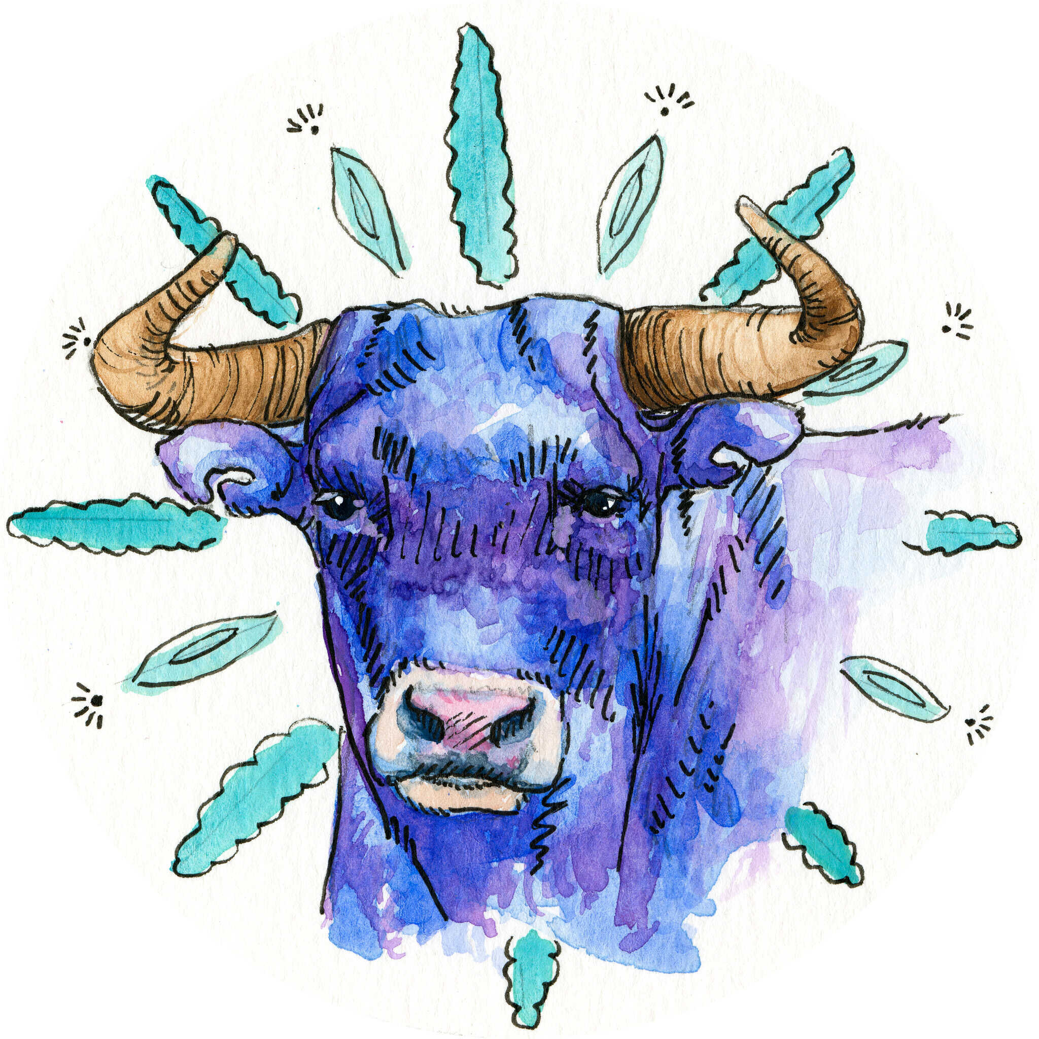 Taurus