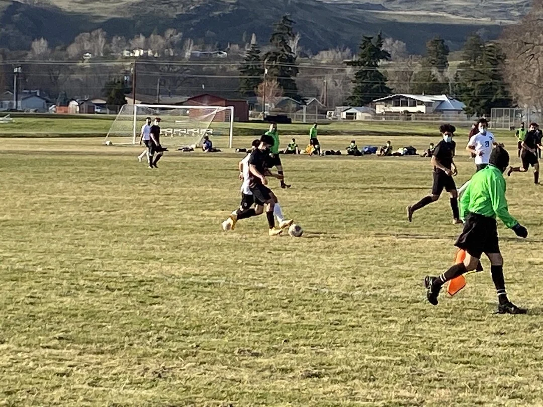 Springing into Action