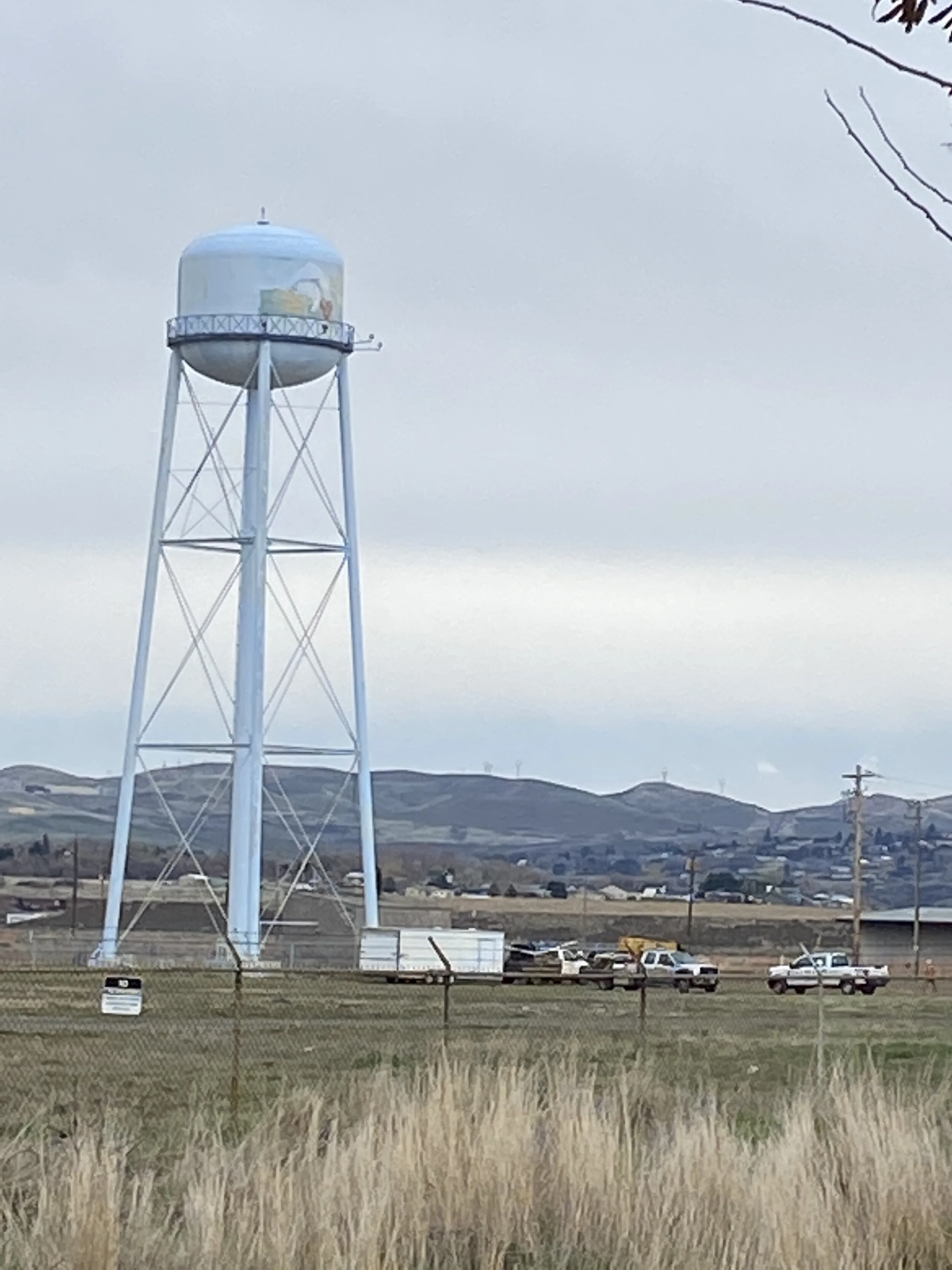 County delays Google Vote, takes questions&nbsp;