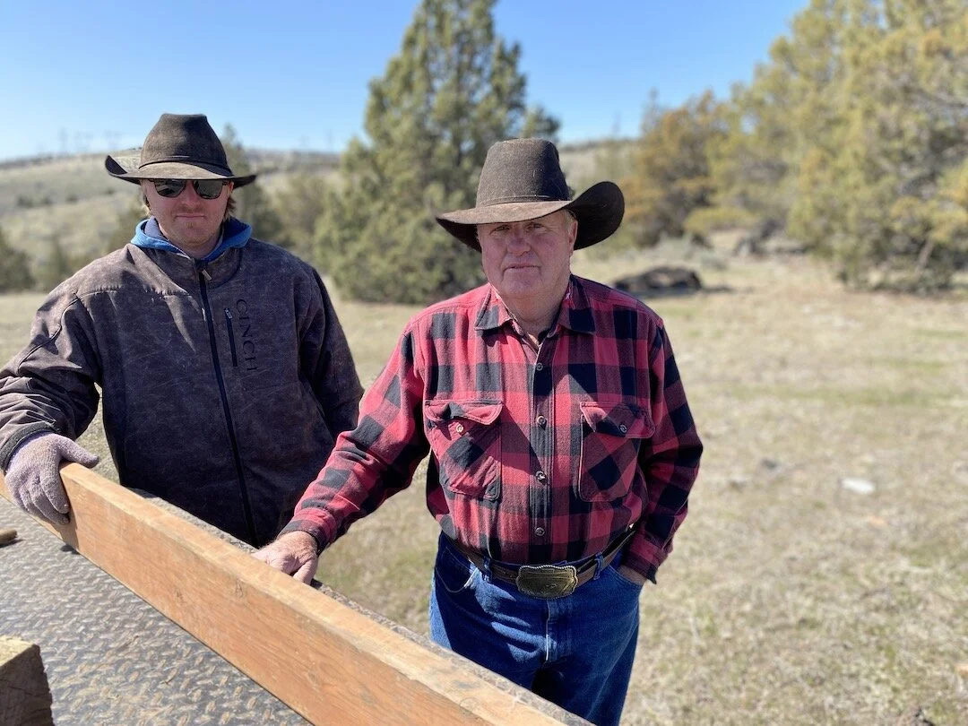 Unexplained Cow Mutilations have Wasco County Ranchers Asking Questions