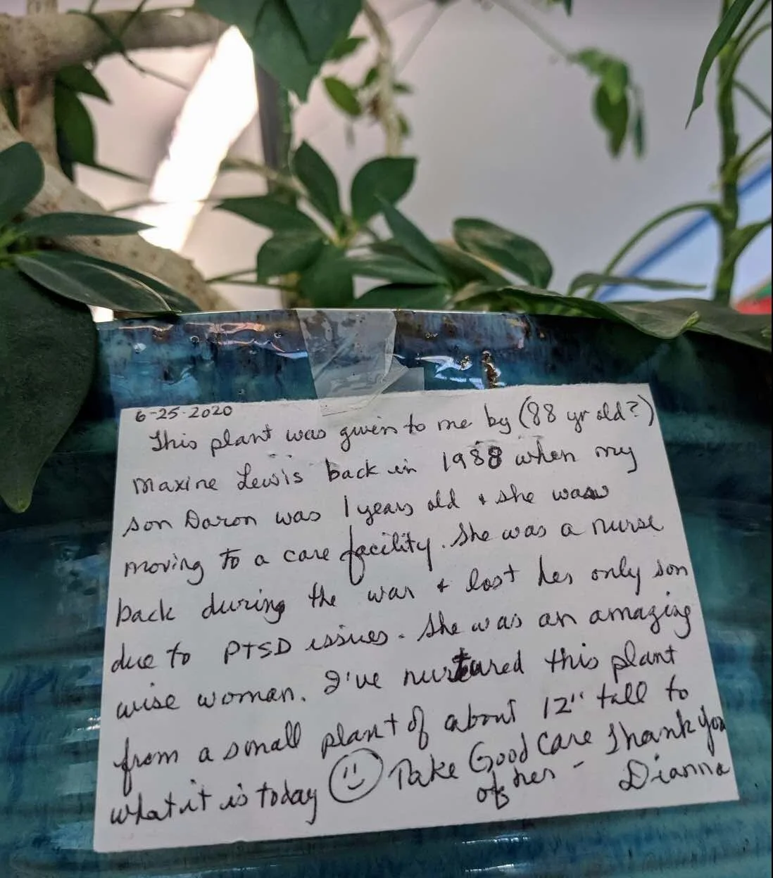plant note.jpg