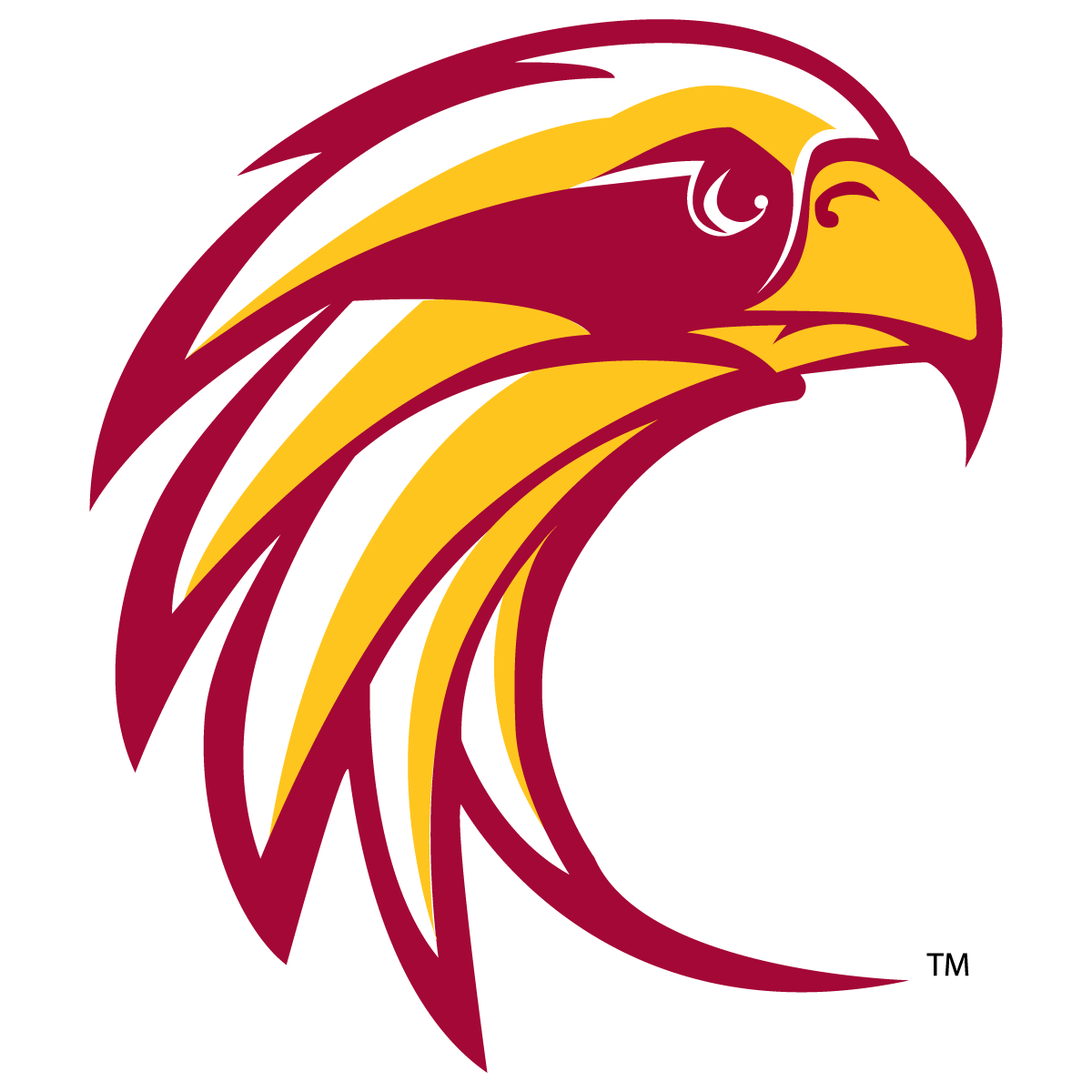 TD Riverhawk Sports Notes by Billy Brost - Nov. 2