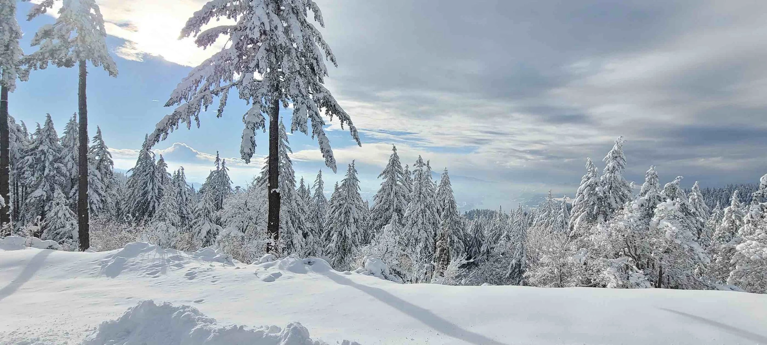 January 2nd Tunnel Road, White Salmon, WA 