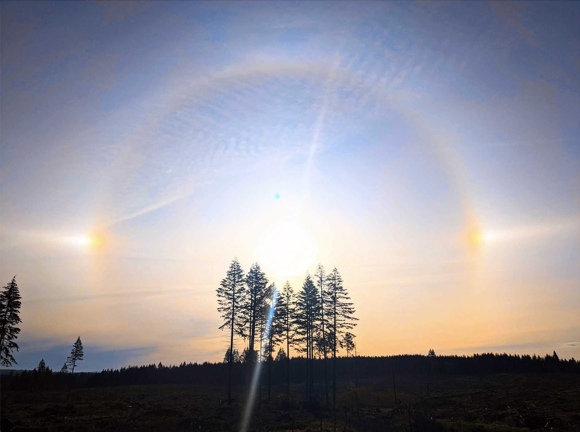 Why do we see a circle around the sun? Halo's simple explanation 