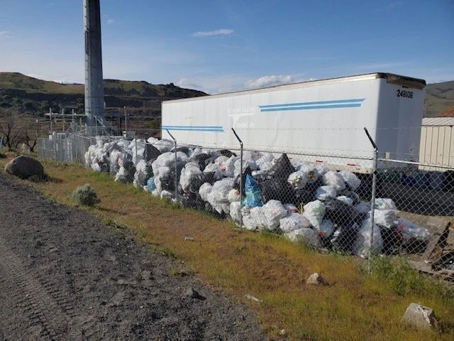 Before sorting by volunteers