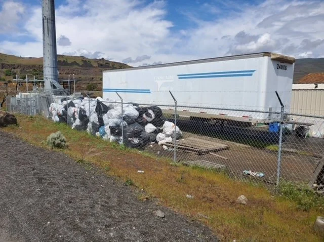  After sorting by volunteers 