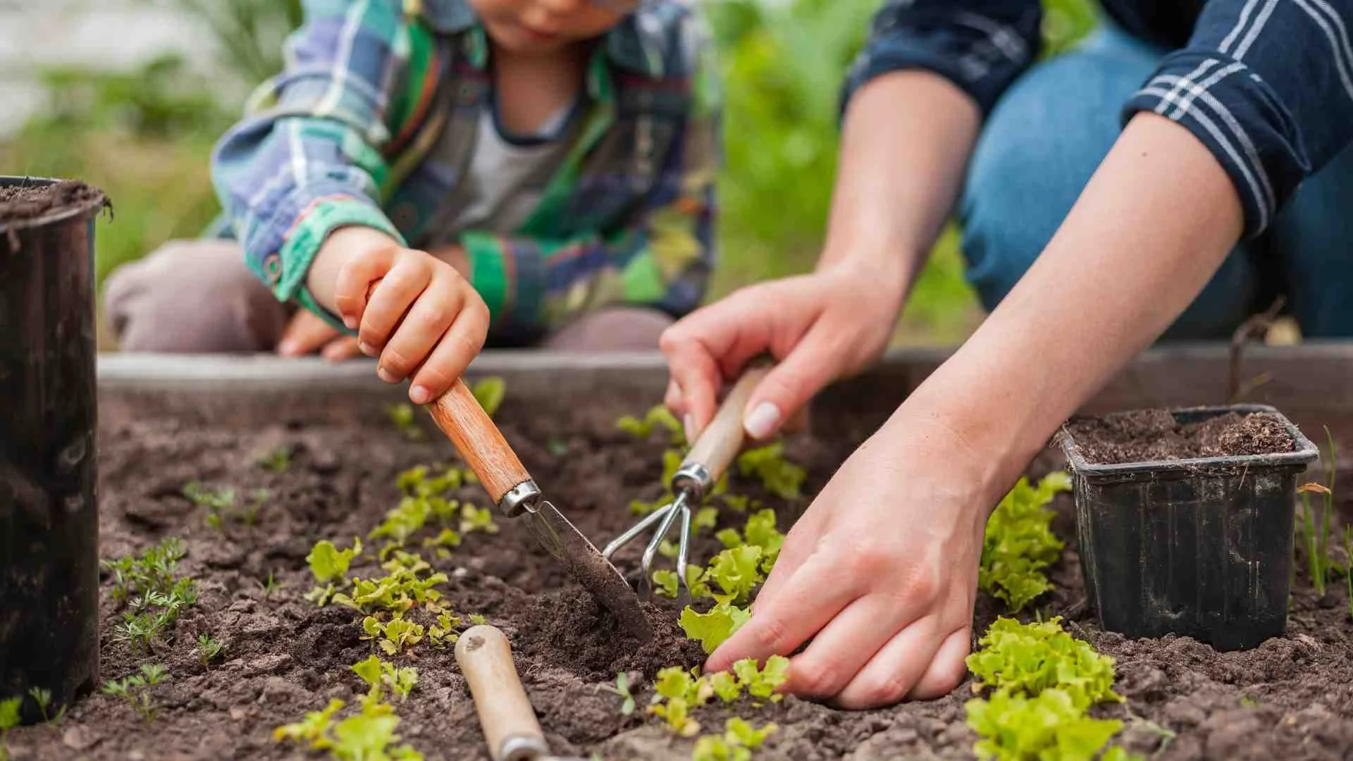 Partners come together for Community Garden Project Day at Heritage Heights Apartments