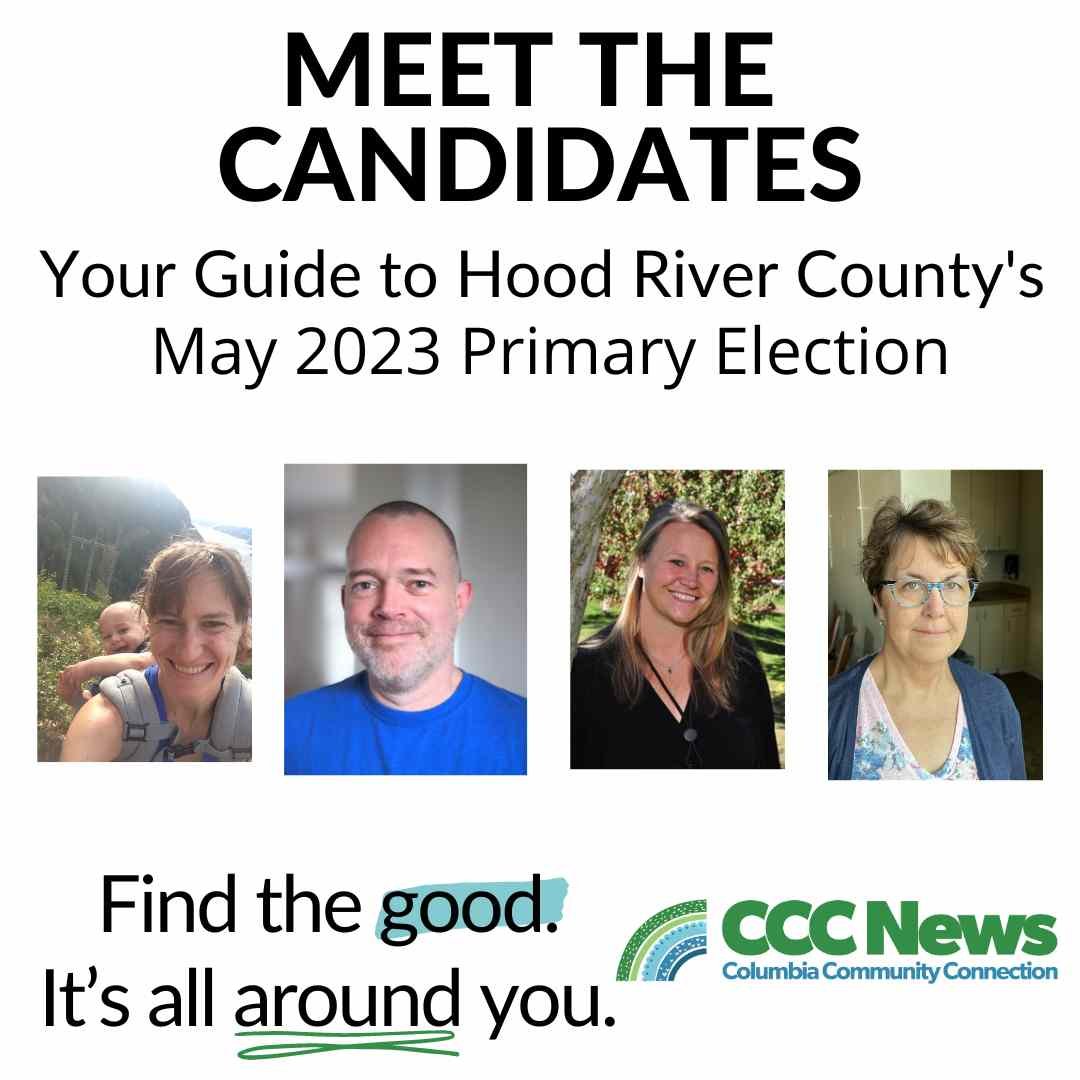Meet The Candidates! 