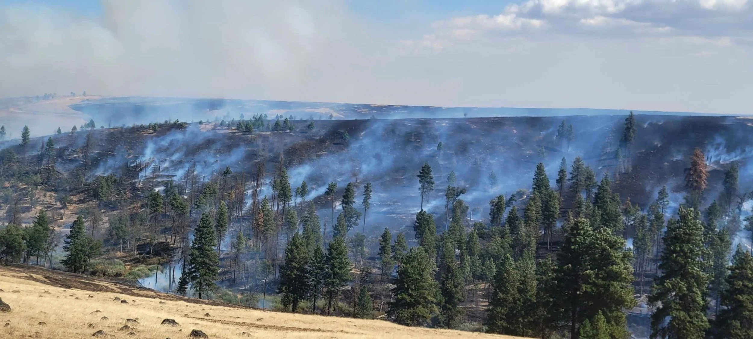 dufur fire 2.jpg