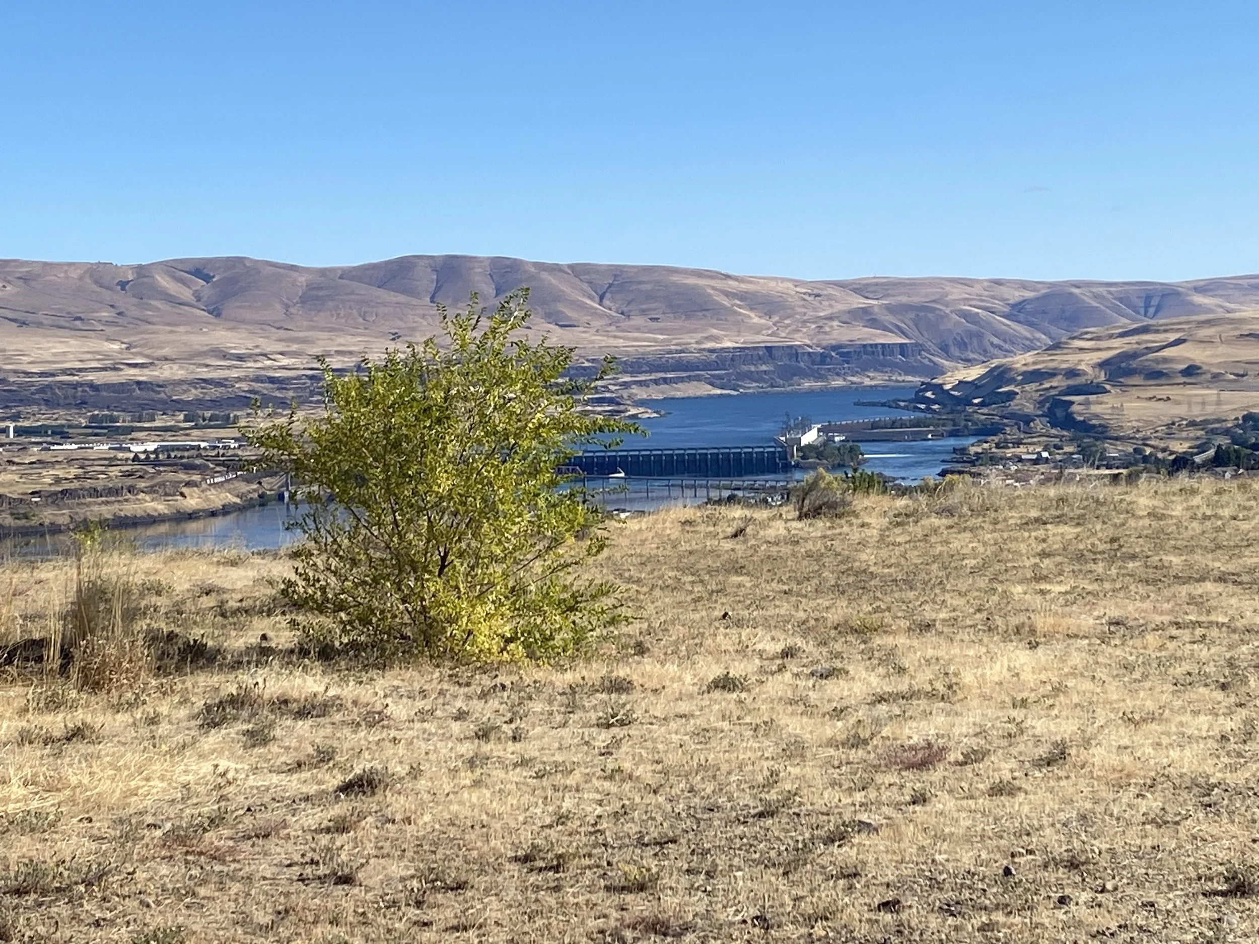 TD Planning Approves Block Size Reduction for 29-lot Subdivision Near Hosptial