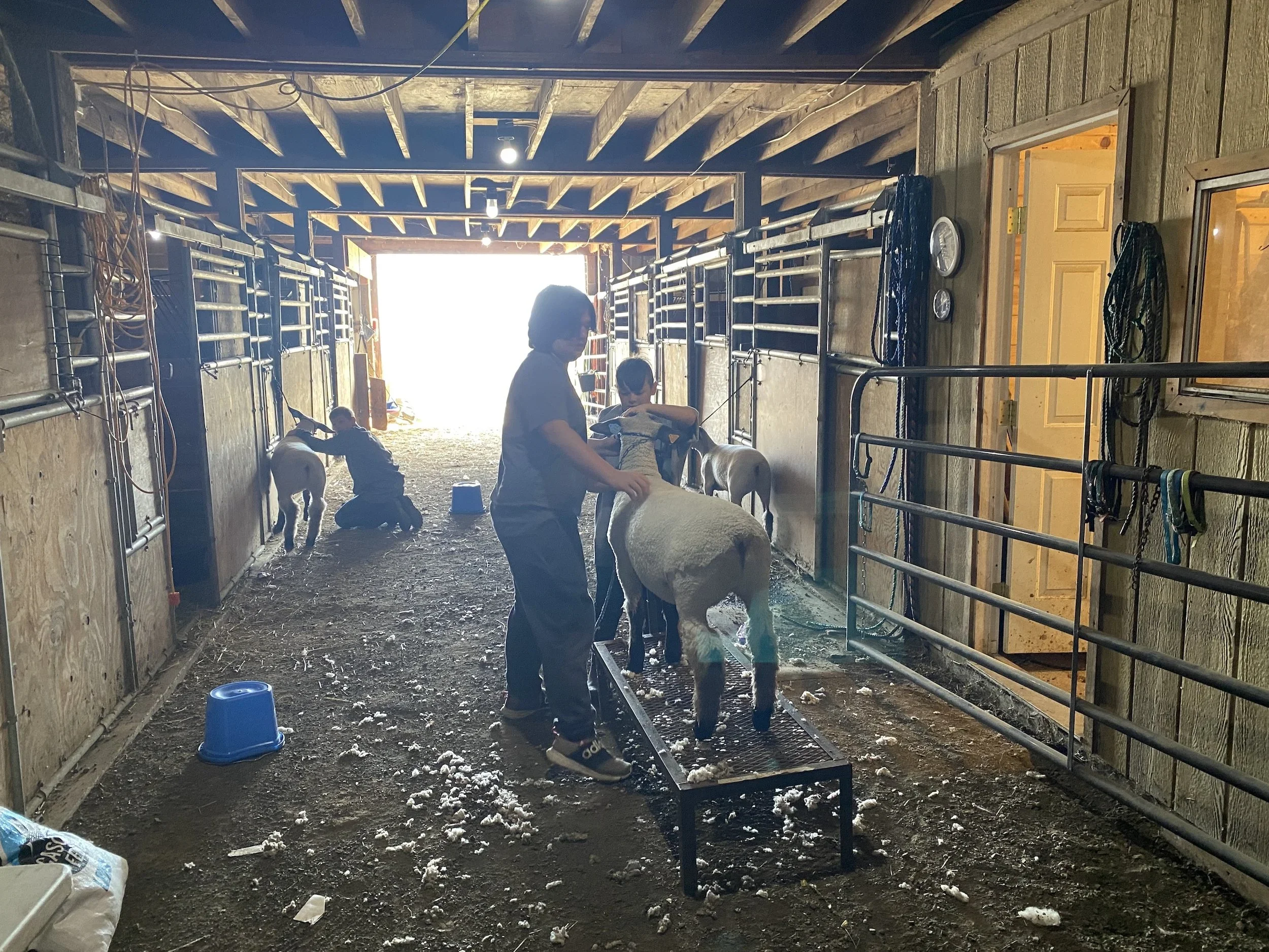 Out here, dreams grow in garden plots and 4-H pens